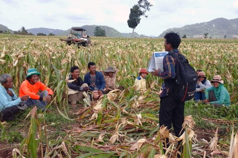 New Project to Combat Malaria in Cambodia